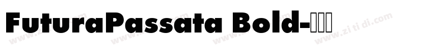 FuturaPassata Bold字体转换